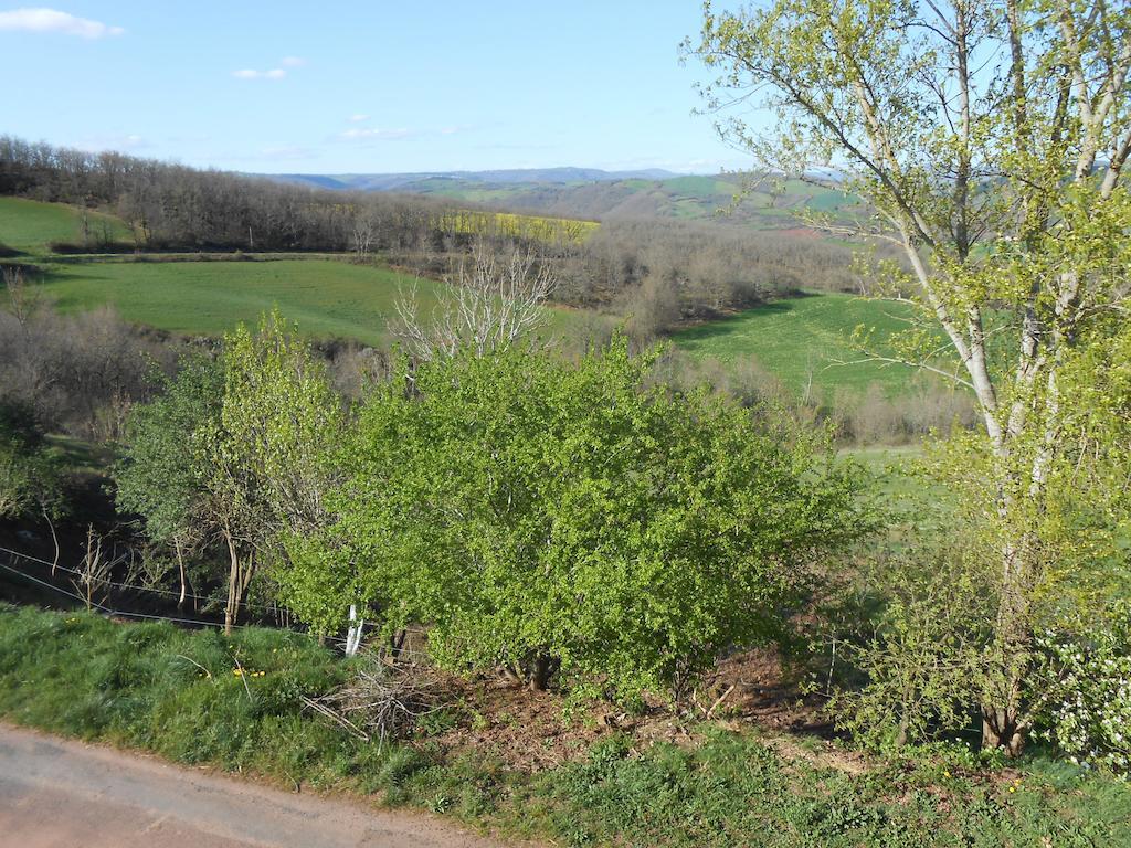 Gite Des Monts Saint-Izaire Exterior photo