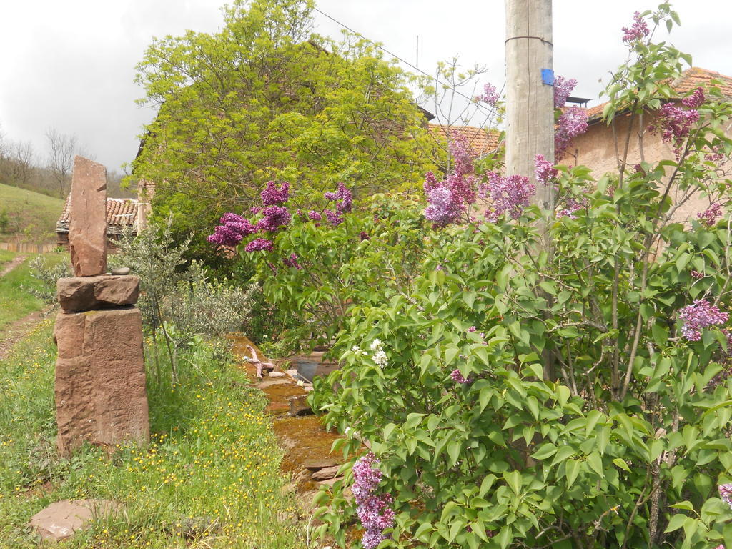 Gite Des Monts Saint-Izaire Exterior photo